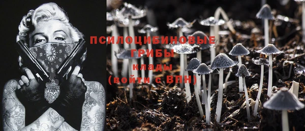 молекула духа Балахна