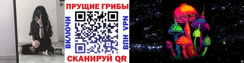 Псилоцибиновые грибы Psilocybe Купить закладки Дедовск